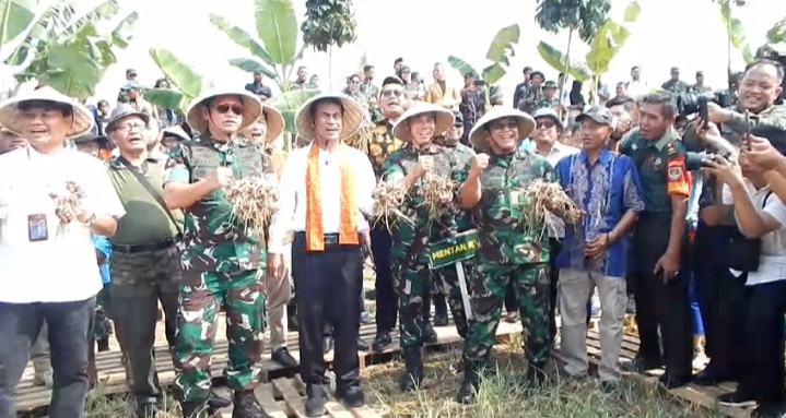 Kasad TNI AD dan Mentan RI Panen Bersama Komoditas Bawang Merah di Food Estate Wanajaya